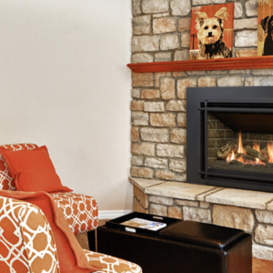 Kozy Heat Chaska 335S
